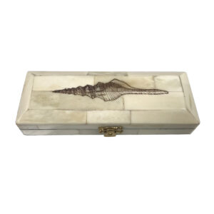 Scrimshaw/Horn & Bone Boxes Nautical 6-1/2″ Engraved Whelk Vintage Sc ...