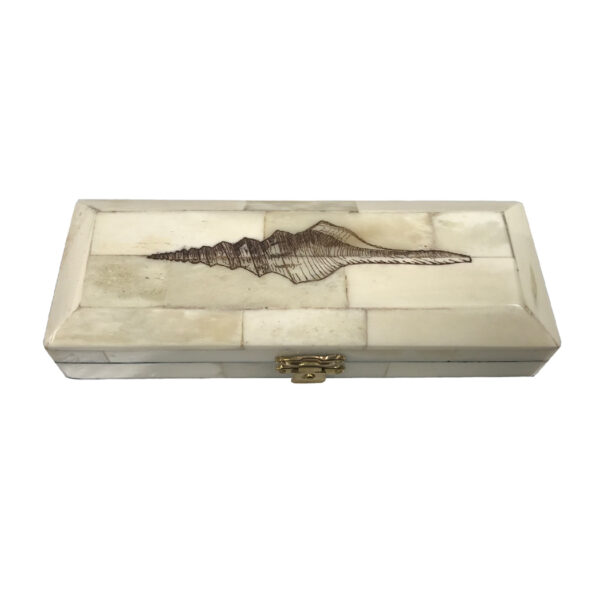 Scrimshaw Boxes Sea Creatures 6-1/2″ Engraved Whelk Vintage Scrimshaw Ox Bone Postage Stamp Box- Antique Vintage Style