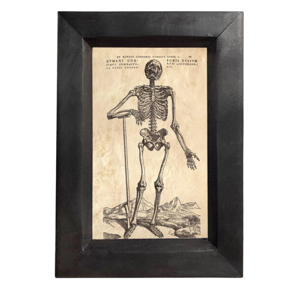Prints Halloween Pleading Skeleton 4×6″ Print Behind Glass. Black Distressed Solid Wood Frame. Framed size is 5-1/4 x 7-1/4″.