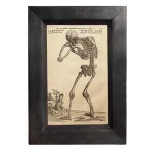 Halloween Halloween Weeping Skeleton 4×6″ Frame ...