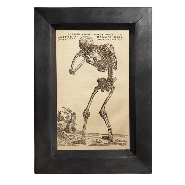 Prints Halloween Weeping Skeleton 4×6″ Print Behind Glass. Black Distressed Solid Wood Frame. Framed size is 5-1/4 x 7-1/4″.