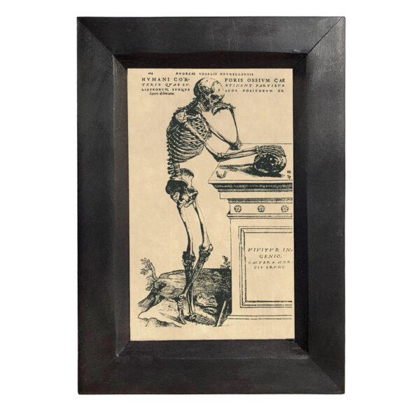 Halloween Halloween Skeleton at Tomb 4×6″ Print Behind Glass. Black Distressed Solid Wood Frame. Framed size is 5-1/4 x 7-1/4″.