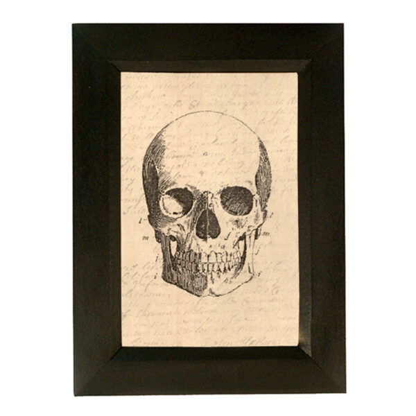 Prints Halloween Antiqued Skull Print Behind Glass in Solid Wood Frame -5-1/4″ x 7-1/4″