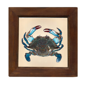 Marine Life/Birds Botanical/Zoological Blue Crab 8″ x 8″ Print Be ...