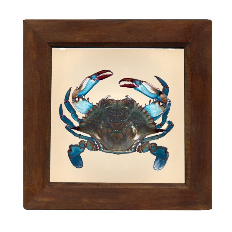 Blue Crab 8" x 8" Print Behind Glass. RedBrown Distressed Solid Wood