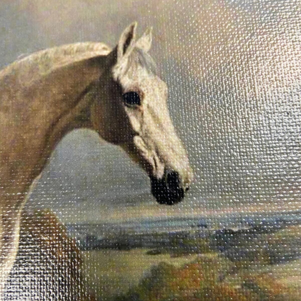 Equestrian/Fox Equestrian Gray Horse with Ducks Framed Oil Painting Print on Canvas
