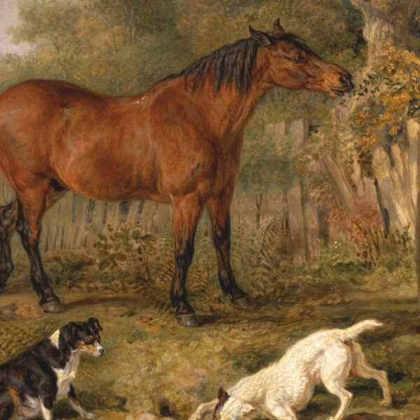 Equestrian/Fox Dogs Two Horses with Dogs and Rabbit Framed Oil Painting Print on Canvas in Antiqued Gold Frame