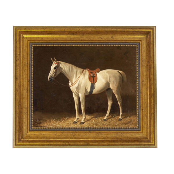 Equestrian/Fox Equestrian Saddled Grey Horse Framed Oil Painting Print on Canvas in Antiqued Gold Frame. An 8″ x 10″ framed to 11-1/2″ x 13-1/2″.