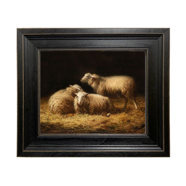 Farm and Pastoral Paintings Sheep in Hay Framed Oil Painting Print on Canvas in Distressed Black Wood Frame