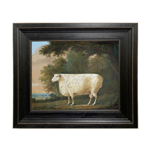 Farm/Pastoral Barnyard Sheep Under Tree Framed Oil Painting Print on Canvas in Distressed Black Wood Frame