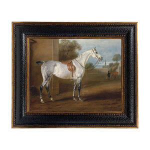 Equestrian/Fox Equestrian Leed’s Grey Hunter Equestrian Fr ...