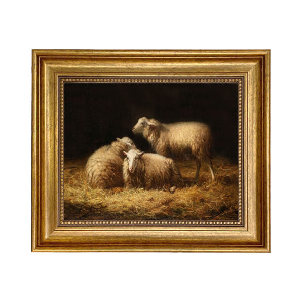 Farm/Pastoral Farm Sheep in the Hay Framed Oil Painting Print on Canvas in Antiqued Gold Frame