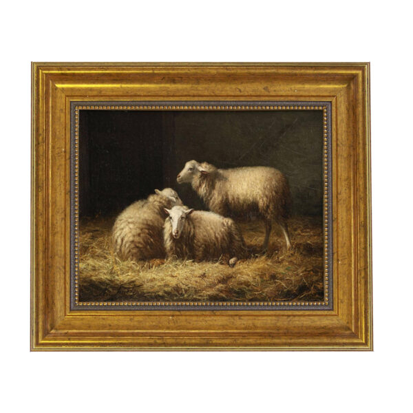 Painting Print Sm Frames Sheep in the Hay Framed Oil Painting Print on Canvas in Antiqued Gold Frame. An 8 x 10″ framed to 11-1/2 x 13-1/2″.