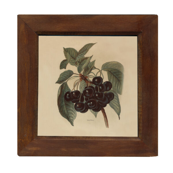 Prints Framed Art Early Rivers Cherries Vintage Color Illustration Reproduction Print Behind Glass in Solid Mango Wood Frame- 9-3/4″ x 9-3/4″.