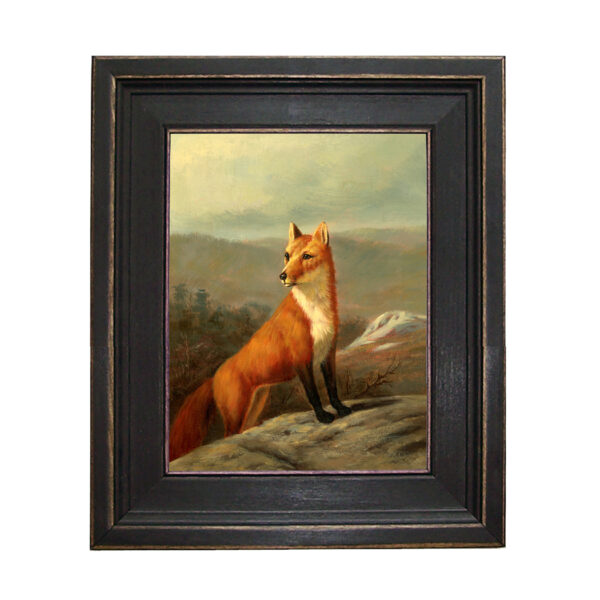Sporting and Lodge Paintings Red Fox Framed Oil Painting Print on Canvas in Distressed Black Wood Frame. An 8 x 10″ framed to 11-1/2 x 13-1/2″