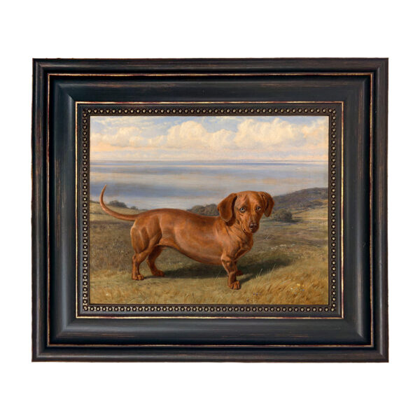 Sporting and Lodge Paintings Framed Art “Boy” the Dachshund by Friedrich Wilhem Framed Oil Painting Print on Canvas in Distressed Black Frame with Bead Accent. An 8″ x 10″ framed to 11-3/4″ x 13-3/4″.