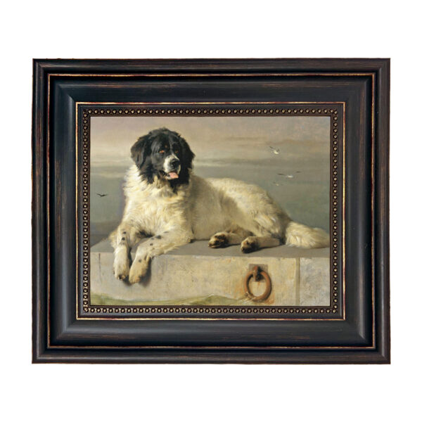 Sporting and Lodge Paintings A Distinguished Member of the Humane Society by Sir Edwin Landseer Framed Oil Painting Print on Canvas in Distressed Black Frame with Bead Accent. An 8″ x 10″ framed to 11-3/4″ x 13-3/4″.