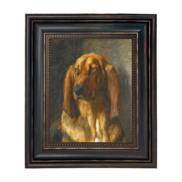 Sporting and Lodge Paintings Sir Lancelot a Bloodhound by Briton Riviere Framed Oil Painting Print on Canvas in Distressed Black Frame with Bead Accent. An 8″ x 10″ framed to 11-3/4″ x 13-3/4″.