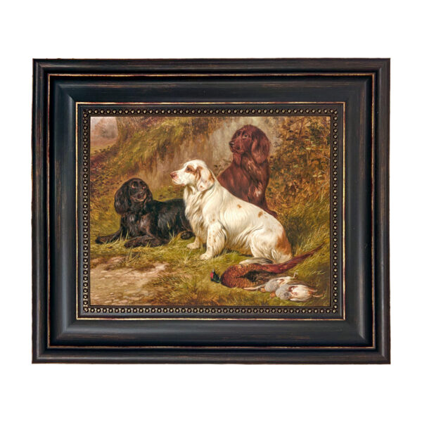 Sporting and Lodge Paintings Spaniels at Rest by Colin Graeme Framed Oil Painting Print on Canvas in Distressed Black Frame with Bead Accent. An 8″ x 10″ framed to 11-3/4″ x 13-3/4″.