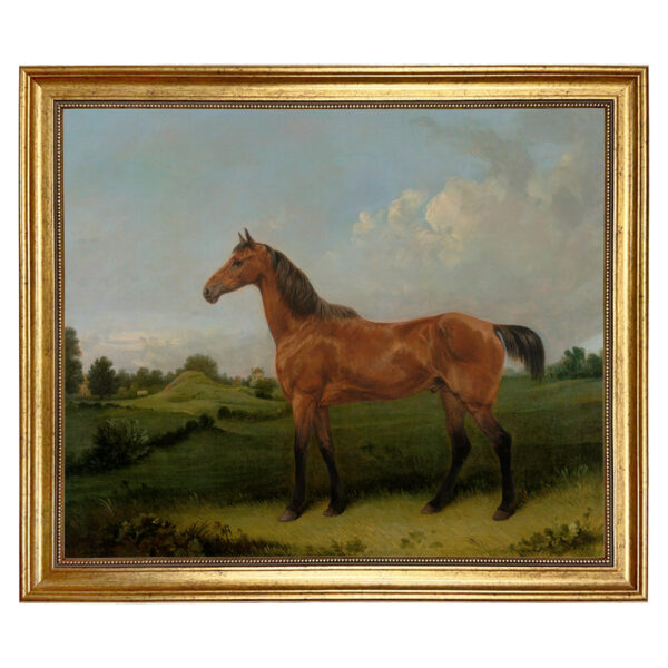 Sporting and Lodge Paintings Bay Horse in a Field Oil Painting Print on Canvas in Antiqued Gold Frame. A 20″ x 24″ framed to 23-1/2″ x 27-1/2″.