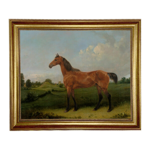 Equestrian/Fox Equestrian Bay Horse in a Field Oil Painting Print on Canvas in Antiqued Gold Frame. 16″ x 20″ Framed to 19-1/2″ x 23-1/2″