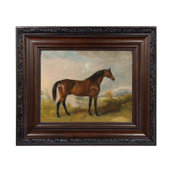 Equestrian/Fox Equestrian A Bay Hunter Framed Oil Painting Print on Canvas in a Brown/Black Solid Oak Frame. An 8″ x 10″ Framed to 12-3/4″ x 14-3/4″