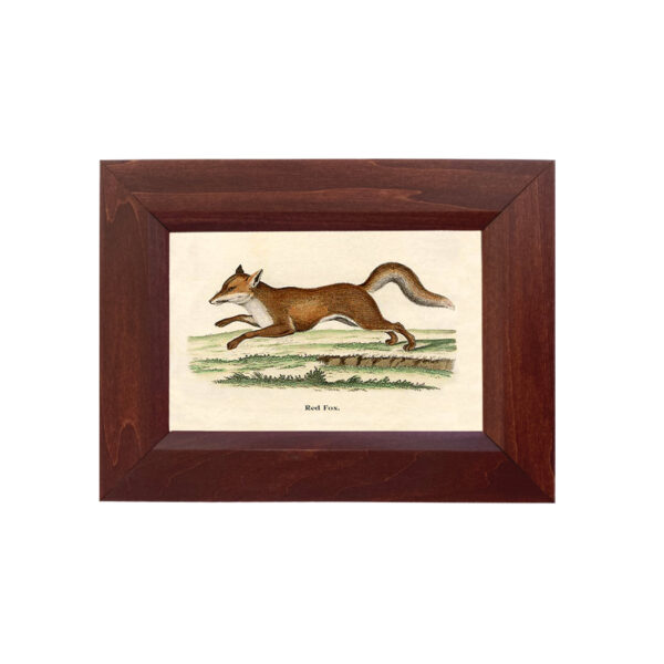 Equestrian Equestrian Fox on the Run Framed Print Behind Glass