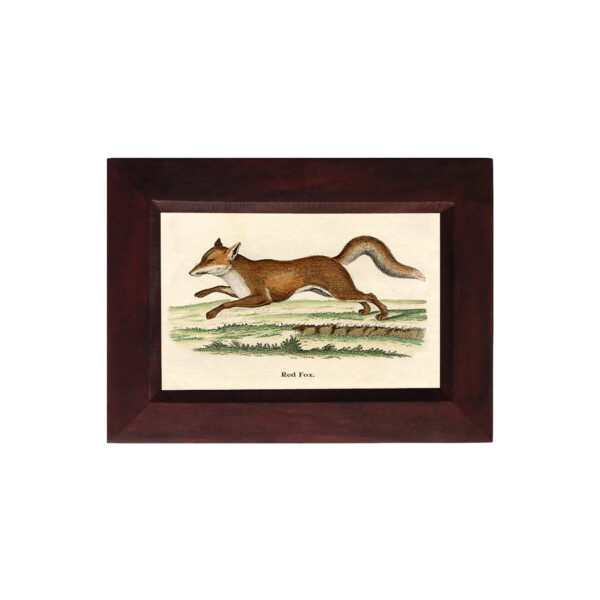 Prints Equestrian Fox on the Run Framed Print Behind Glass- A 4″ x 6″ Framed to 5-1/4″ x 7-1/4″.