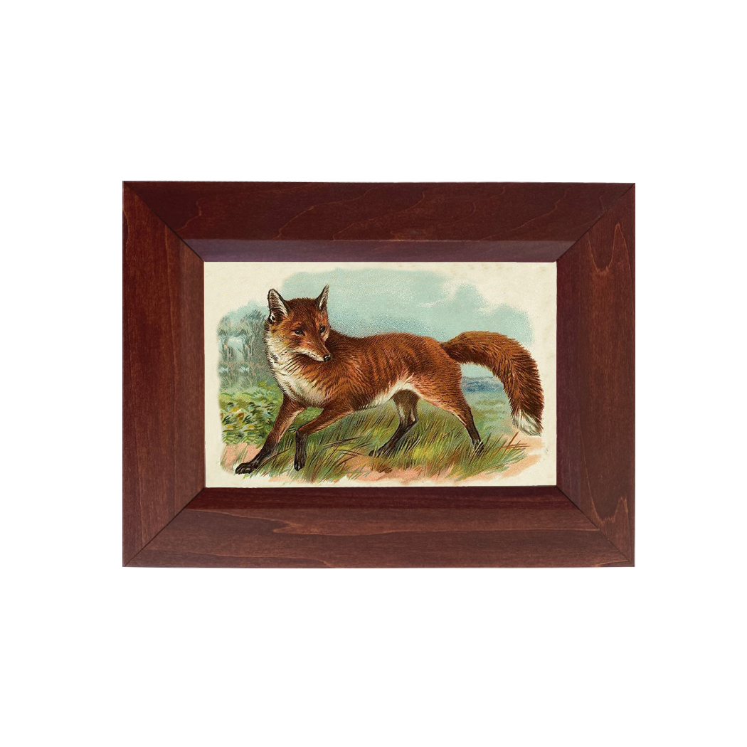 Equestrian Equestrian Fox in the Grass Vintage Reproduction  ...