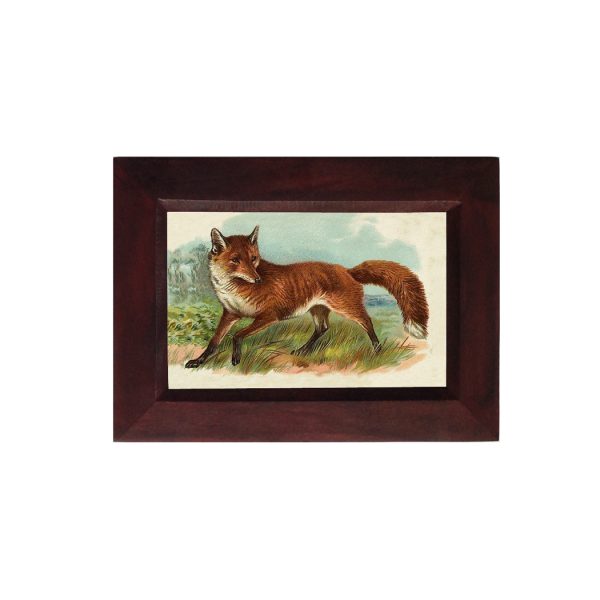 Equestrian Equestrian Fox in the Grass Framed Print Behind Glass- A 4″ x 6″ Framed to 5-1/4″ x 7-1/4″.
