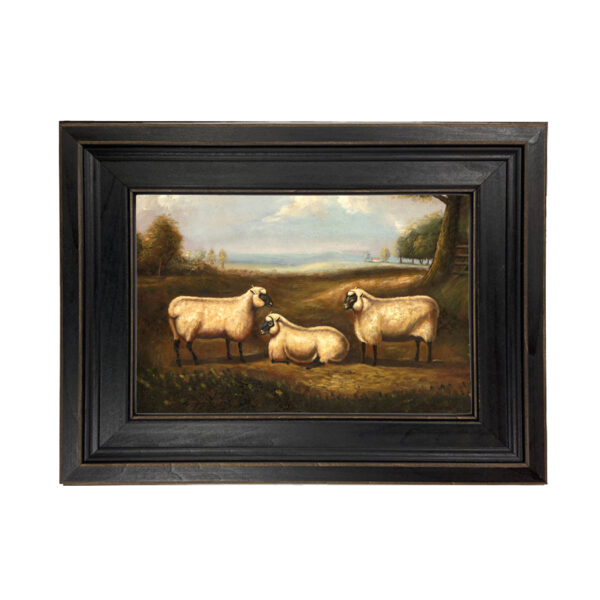 Farm and Pastoral Paintings Farm Three Sheep Framed Oil Painting Print on Canvas in Distressed Black Wood Frame. An 7 x 10″ framed to 10-1/2 x 13-1/2″.