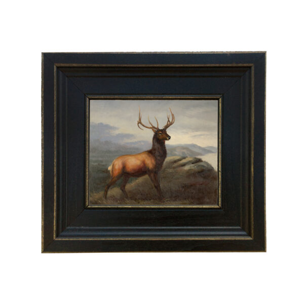 Sporting and Lodge Paintings White Tail Stag Framed Oil Painting Print on Canvas in Distressed Black Wood Frame. A 5 x 6″ framed to 8-1/2 x 9-1/2″.