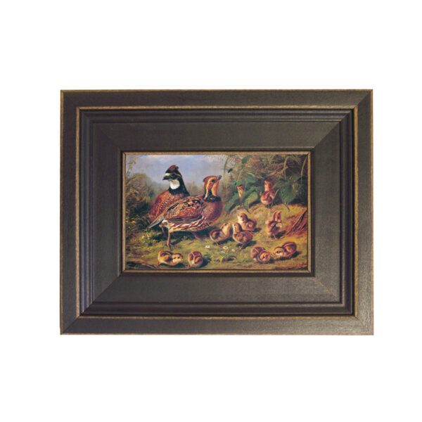 Sporting and Lodge Paintings Early American A Brace of Quail and Young Feeding Framed Oil Painting Print on Canvas in Distressed Black Wood Frame. A 4 x 6″ framed to 7-1/2 x 9-1/2″.