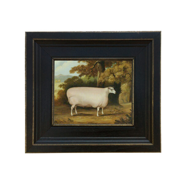 Farm and Pastoral Paintings Farm Sheep Framed Oil Painting Print on Canvas in Distressed Black Wood Frame. A 5 x 6″ framed to 8-1/2 x 9-1/2″.