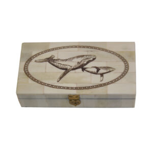 Scrimshaw/Horn & Bone Boxes Nautical 6-1/4″ Whale and Calf Engraved S ...