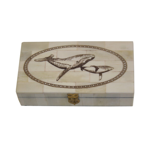 Scrimshaw/Horn & Bone Boxes Nautical 6-1/4″ Whale and Calf Engraved Scrimshaw Bone Box- Antique Reproduction