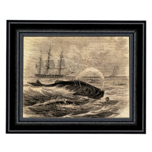 Nautical Nautical Pursuit of the Greenland Whale Etching Framed Print Behind Glass
