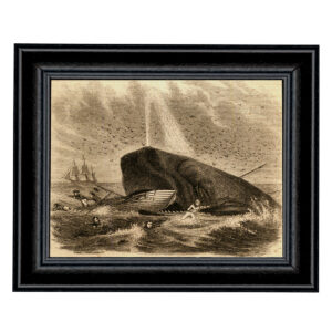 Nautical Nautical The Whale of Captain DeLois Etching Fr ...
