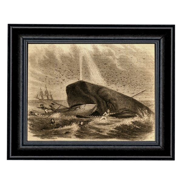Nautical Nautical The Whale of Captain DeLois Etching Framed Print Behind Glass in Black Wood Frame
