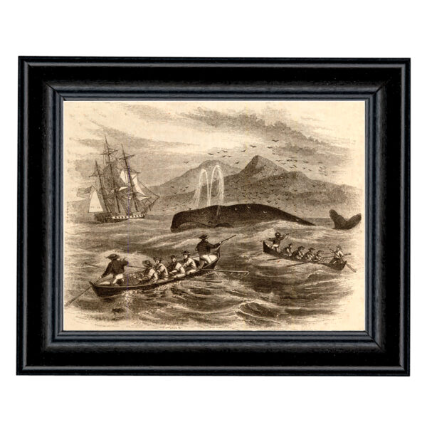 Prints Nautical Pursuit of the Greenland Whale Etching Framed Print Behind Glass in Black Wood Frame