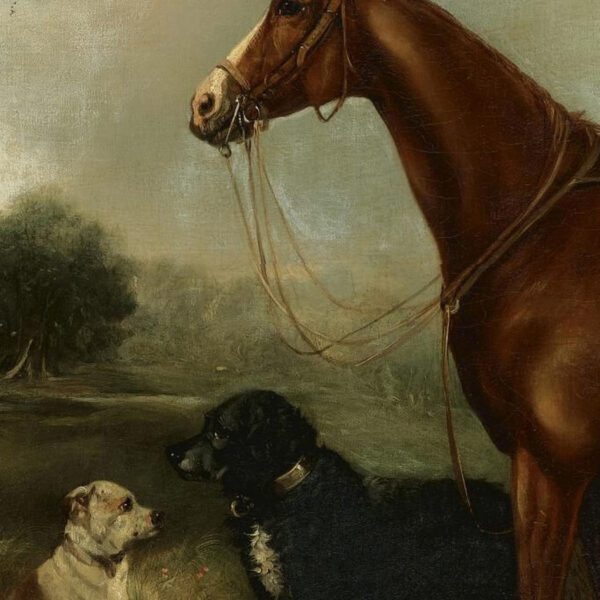 Equestrian/Fox Dogs Chestnut Horse with Two Dogs Oil Painting Print on Canvas