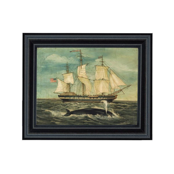 Nautical Nautical Whaling Ship with Whale Print Behind Glass in Black Wood Frame- A 5-1/2″ x 7″ Print Framed to 7-1/4″ x 8-3/4″.