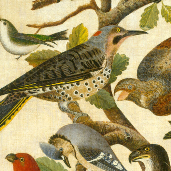 Painting Prints on Canvas Early American Birds in Tree Framed Oil Painting Print on Canvas