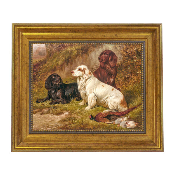 Sporting and Lodge Paintings Spaniels at Rest by Colin Graeme Framed Oil Painting Print on Canvas in Antiqued Gold Frame. An 8″ x 10″ Framed to 11-1/2″ x 13-1/2″.