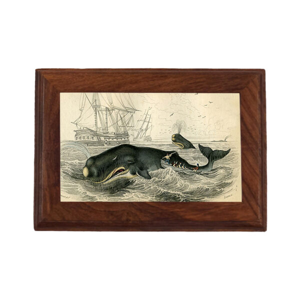 Decorative Boxes Nautical Sperm Whale Print Wood Trinket or Jewelry Box- Antique Vintage Style