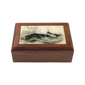 Decorative Boxes Nautical Sperm Whale Print Wood Trinket or Jewe ...