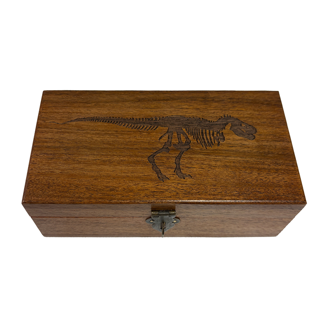 Decorative Boxes Botanical/Zoological 6″ Tyrannosuarus Rex Dinosaur Engraved Wood Box