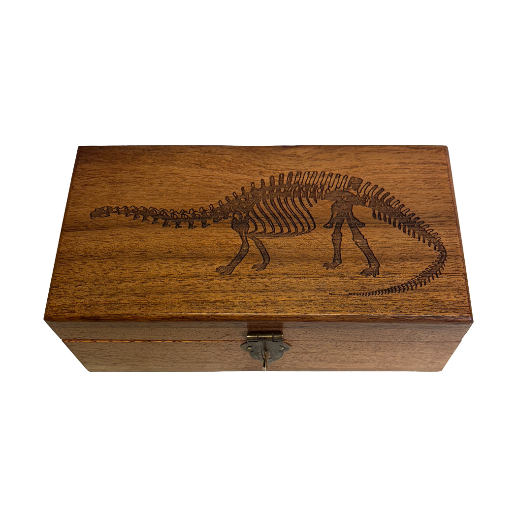 Decorative Boxes Botanical/Zoological 6″ Brontosaurus Dinosaur Engrave ...