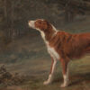 Sporting and Lodge Paintings Irish Red and White Setter Dog Oil Painting Print on Canvas in Brown and Antiqued Gold Frame