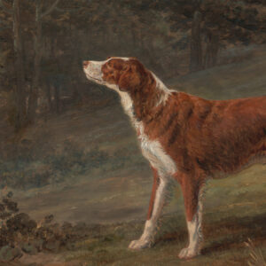 Dogs/Cats Dogs Irish Red and White Setter Dog Oil Pai ...